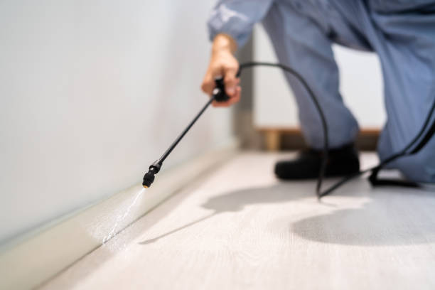 Rodent Entry Point Assessment in Melbourne Beach