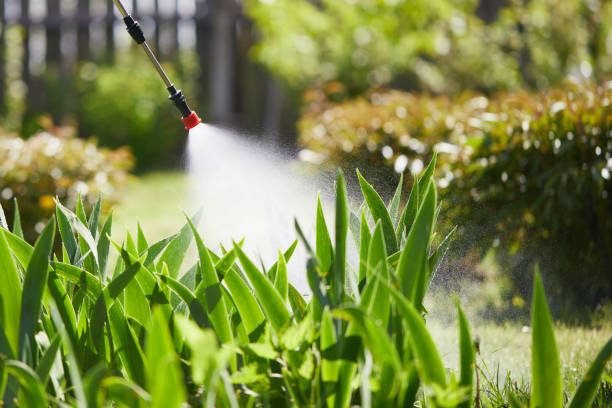 Tamper-Resistant Bait Stations for Rodents in Melbourne Beach