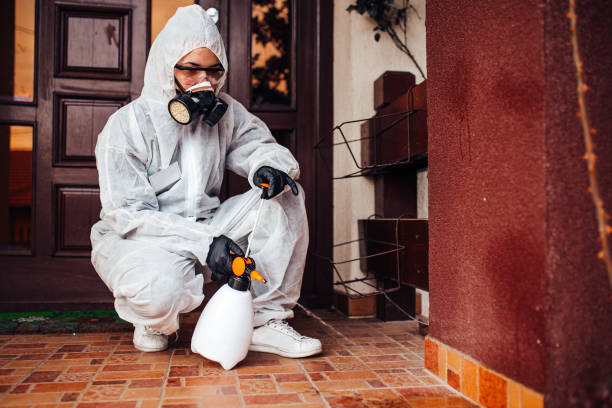 Attic and Crawl Space Rodent Treatment in Melbourne Beach
