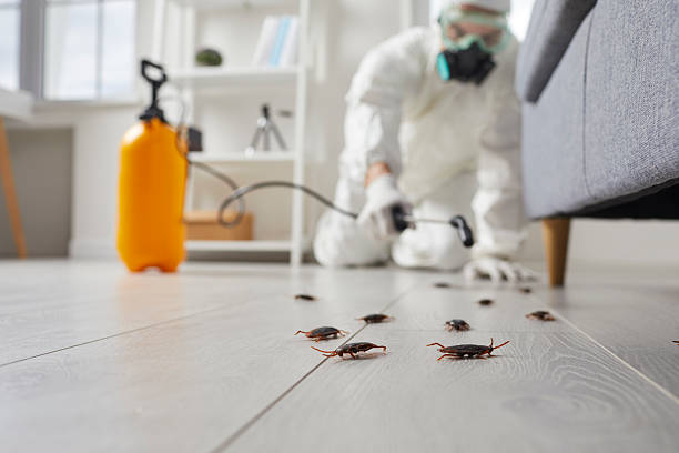 Commercial Rodent Management in Melbourne Beach